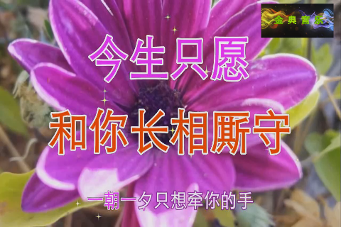 曾经的相识那样美丽,想你!
