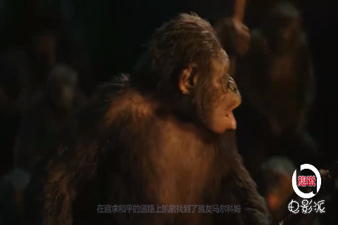 一部人兽抢塔的电影 打造浩大真实的人猿星球 人类该好好反省 一部人兽抢塔的电影 打造浩大真实的人猿星球 人类该好好反省