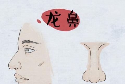 拥有这样的鼻子的人,都是福相!|富贵|方正|龙鼻_新浪新闻