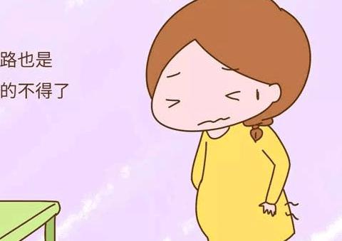 小奶猫被困桶里,表情呆萌可爱,心都要被萌化了!