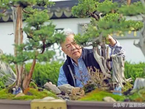 史佩元——《凤凰涅槃》的创作轨迹(中盆会)_新浪新闻
