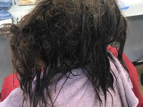 女孩乱蓬蓬头发多年不梳理,想剃光,最后理发师花12小时梳好头发