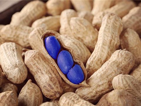 当包子和花生都变成蓝色,我选择抱走蓝色的猫咪,杜甫也不淡定了