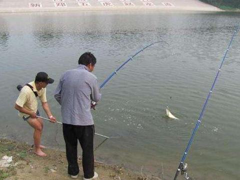 如何用海竿浮钓，图解浮漂组装！|钓线|海竿|小球|鱼漂|尾部_新浪新闻