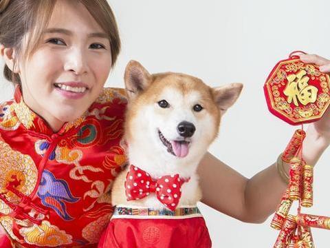 属狗人按出生年、月、日、时四柱, 命局性格查询!|属狗|一生|出生_新浪新闻