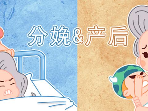 孕妇不能错过的15种保胎食物!