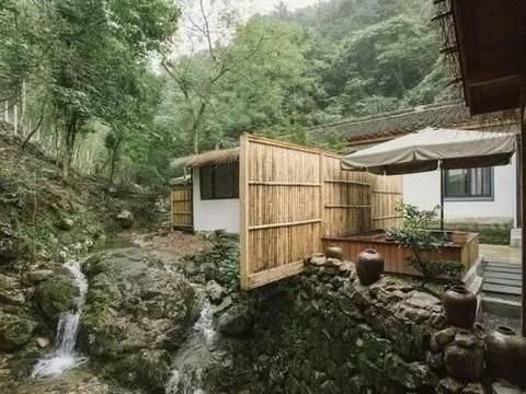 这个国际设计奖得主,在浙东原始森林造了10间隐奢的茅庐|山水|温泉|森林_新浪新闻