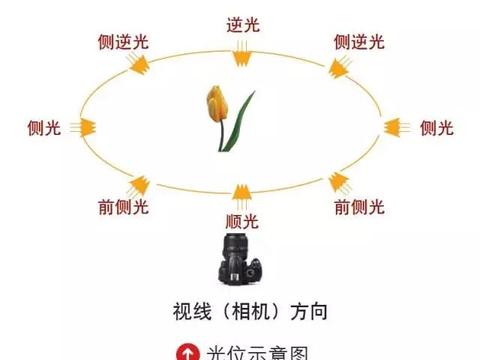 如何利用不同光位拍出好照片|侧光|画面|光线|景物|顺光_新浪新闻