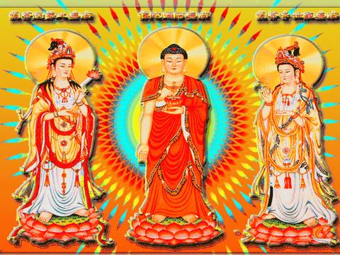 这叫习气, 这叫烦恼, 这叫业障|业障|习气|佛号_新浪新闻