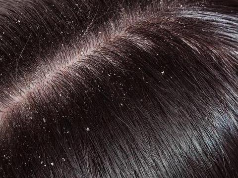 冲锋衣微奢品牌排行榜前十名