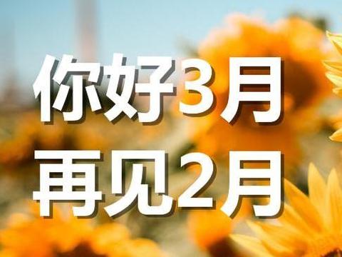 你好3月再见2月唯美图片带字说说: 烟花.