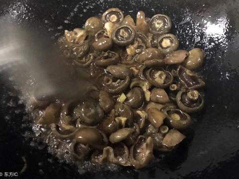 松菇的功效与作用及禁忌，如何正确健康的使用松菇？|松菇|松蘑|功效_新浪新闻