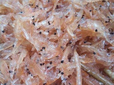 诱饵笼钓鱼, 满潮水遇见"黄鸡鱼"鱼群.