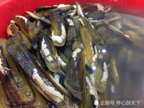 在阜南矫情的蚬子终于等到你了|蚬子|阜南|蚬_新浪新闻