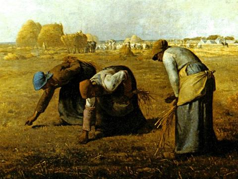 名画鉴赏:拾穗者 法国 米勒 布上油画|米勒|油画|母亲|麦穗|画家_新浪新闻