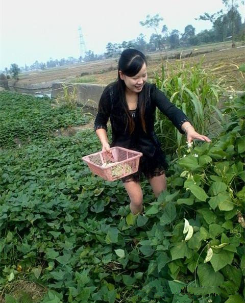 一个农村女孩,初中没毕业南下去打工