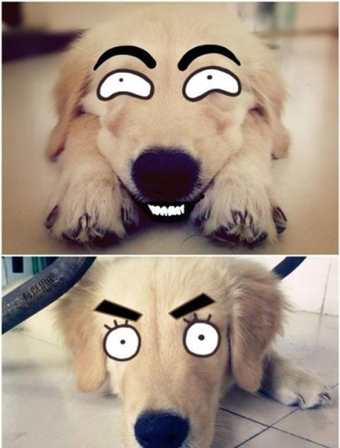 再不笑,你就老啦