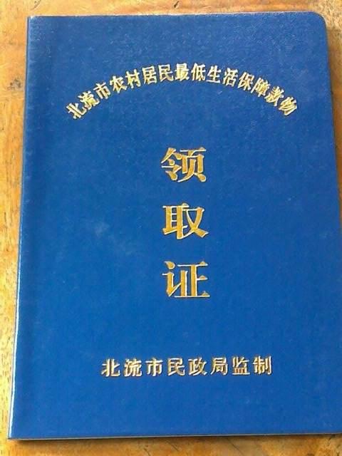 低保女婿收入证明模板怎么写 新浪网