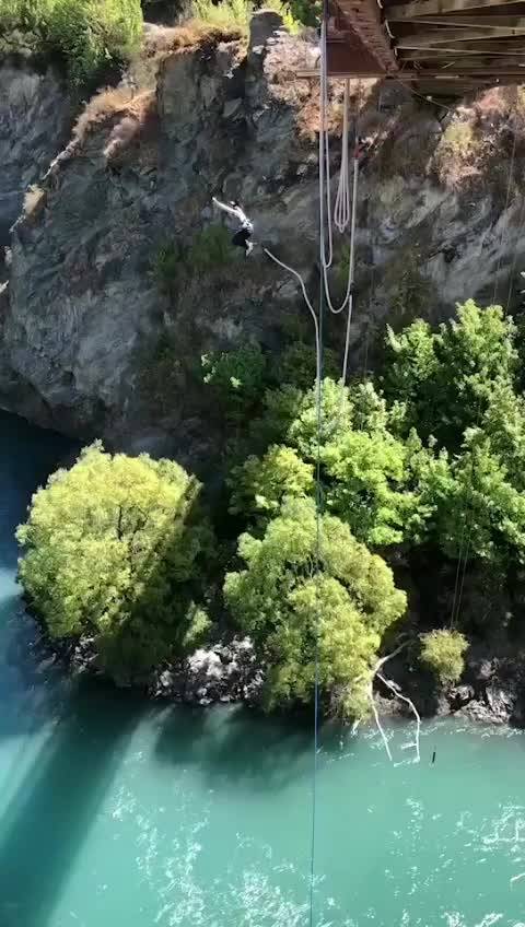 这下完了,脑子进水!