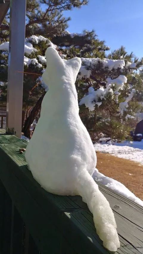 主人做了一个雪猫在放在门口,被猫看到后,竟然.