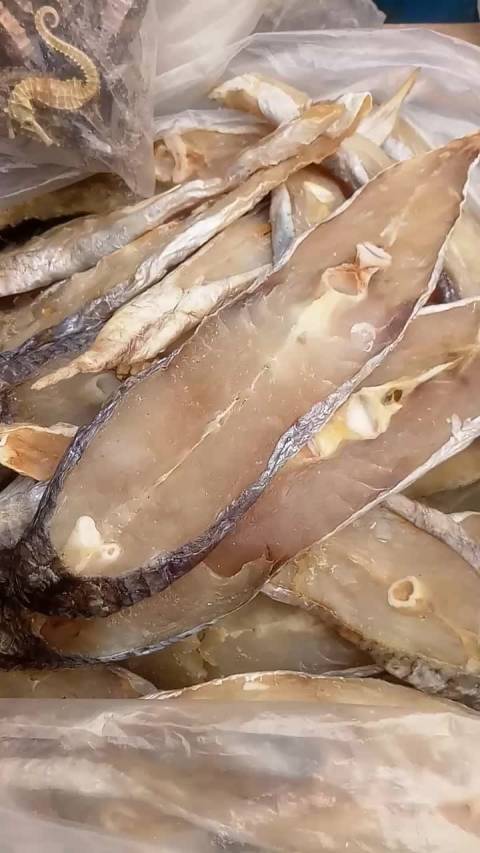 【湛江雷州人卖鱼干,马友,赤鱼(鳘鱼)】 我和老乡的对话,白话: 好少见