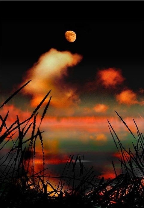 一弯天上月半川清凉风