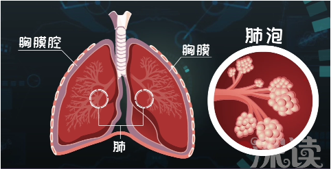 這集,還是老規矩,深讀君帶你走進氣胸患者的生活,瞭解症狀先.