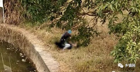 一对情侣在莆田某公园内野战 被偷拍曝光了