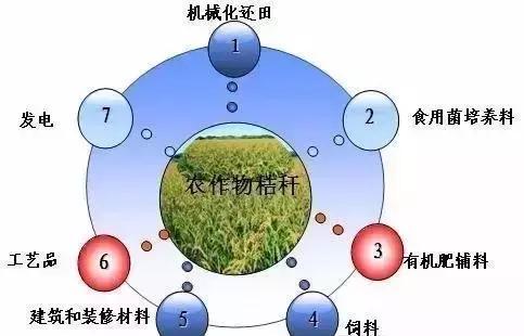寿县起到带头作用,获得了1500万元中央财政补助!