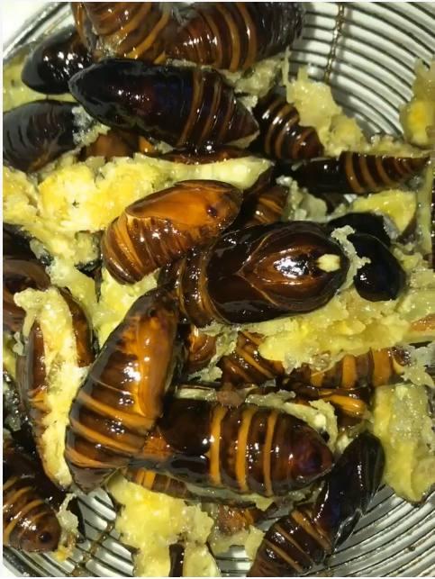 吃一个它相当于3个鸡蛋,补肾大神,老婆爱死你