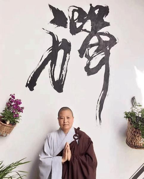 这座最美尼姑庵,只种花不烧香,斋饭更是好吃到排队