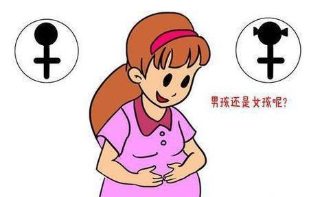很多宝妈宝爸说: 有钱生男孩, 没钱生女孩! 您认为对吗?