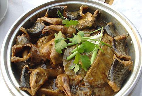 广东云浮美食篇——三蛇龙虎凤大会