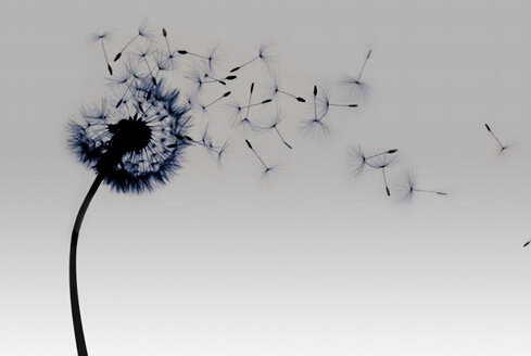 放手,放下,放开,放弃