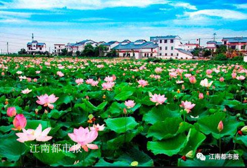 江西彩礼全国第一,要攒多少钱才结得起婚?看完