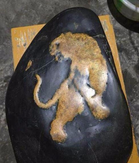 小伙捡到带有虎纹的奇石,因贪心万元未出手鉴定后肠子都悔青了!