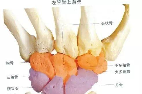 损伤左手腕三角软骨盘损伤,右手腕尺侧腕伸肌肌腱钙化.