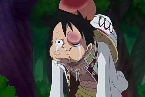 海贼王,路飞被这几个人打的没脾气,最后一个只是因为宠她