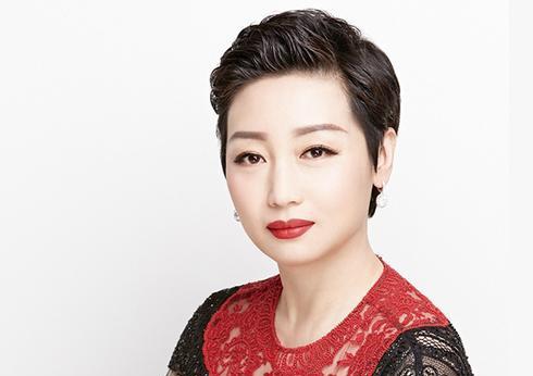 人,参演电影《中国合伙人》饰演女主角苏梅,《港囧》饰演女二号杨伊