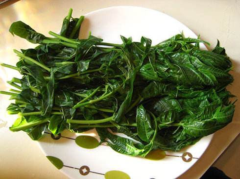 农村这种野菜,曾经是一道宫廷菜,但这2种人一定不能吃