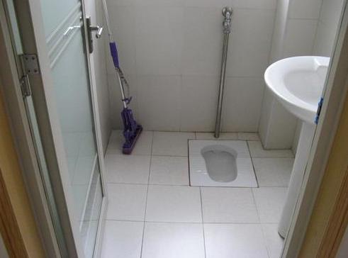 中国人一直在享受着蹲便,其实在家里面安装蹲便的话,生活也会非常舒服