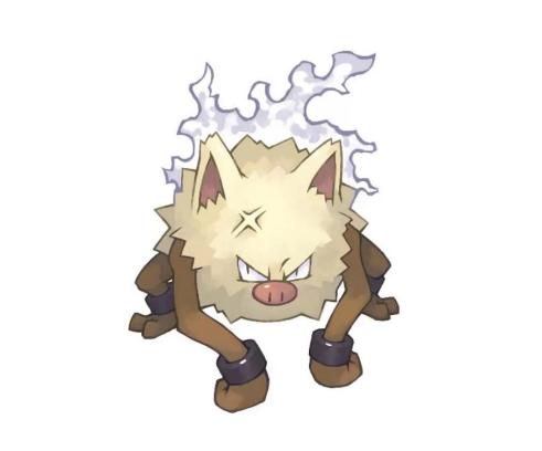 格斗)猴怪在进化成为火暴猴之后,脾气变得更加火爆了,在分类上依然是