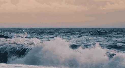 492_269gif 动态图 动图