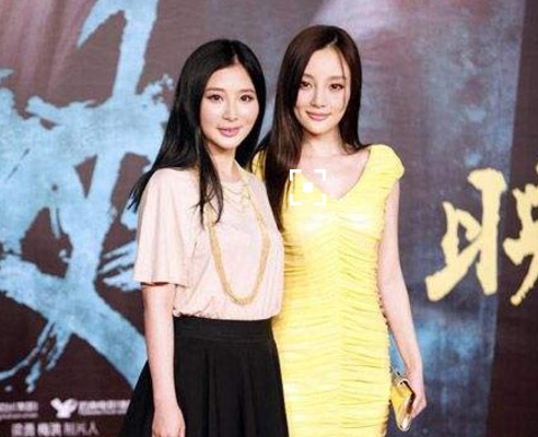 假脸姐妹团熊乃瑾点赞贾乃亮微博,再次打脸李