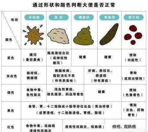 毒素不及时排出,即会被身体吸收,严重影响身体健康,并且长期晚排,大便