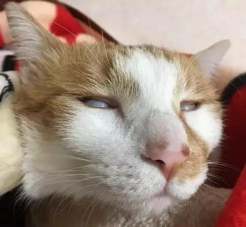 ▼ 表情崩坏的. ▼ 最多的就是翻白眼的.