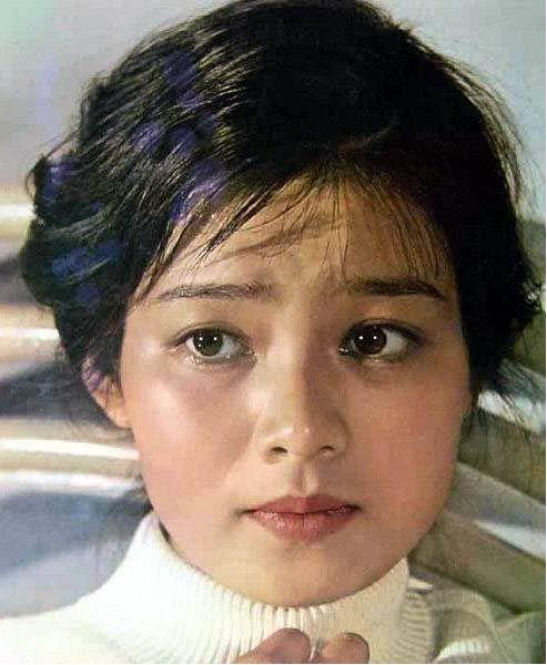 出道41年的潘虹令人敬畏年轻时候的她美貌如花也是一代佳人