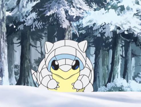 看到这十只阿罗拉地区形态的神奇宝贝你会选择收服哪两只