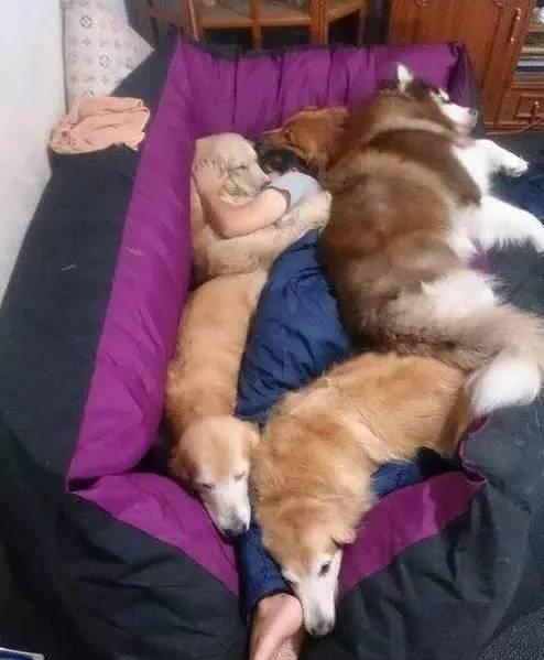 p得太到位了,三步篮居然跳得这么高