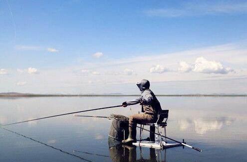 深秋钓鱼好时机,教你台钓打窝技巧,鱼获满满鱼护都装不下!
